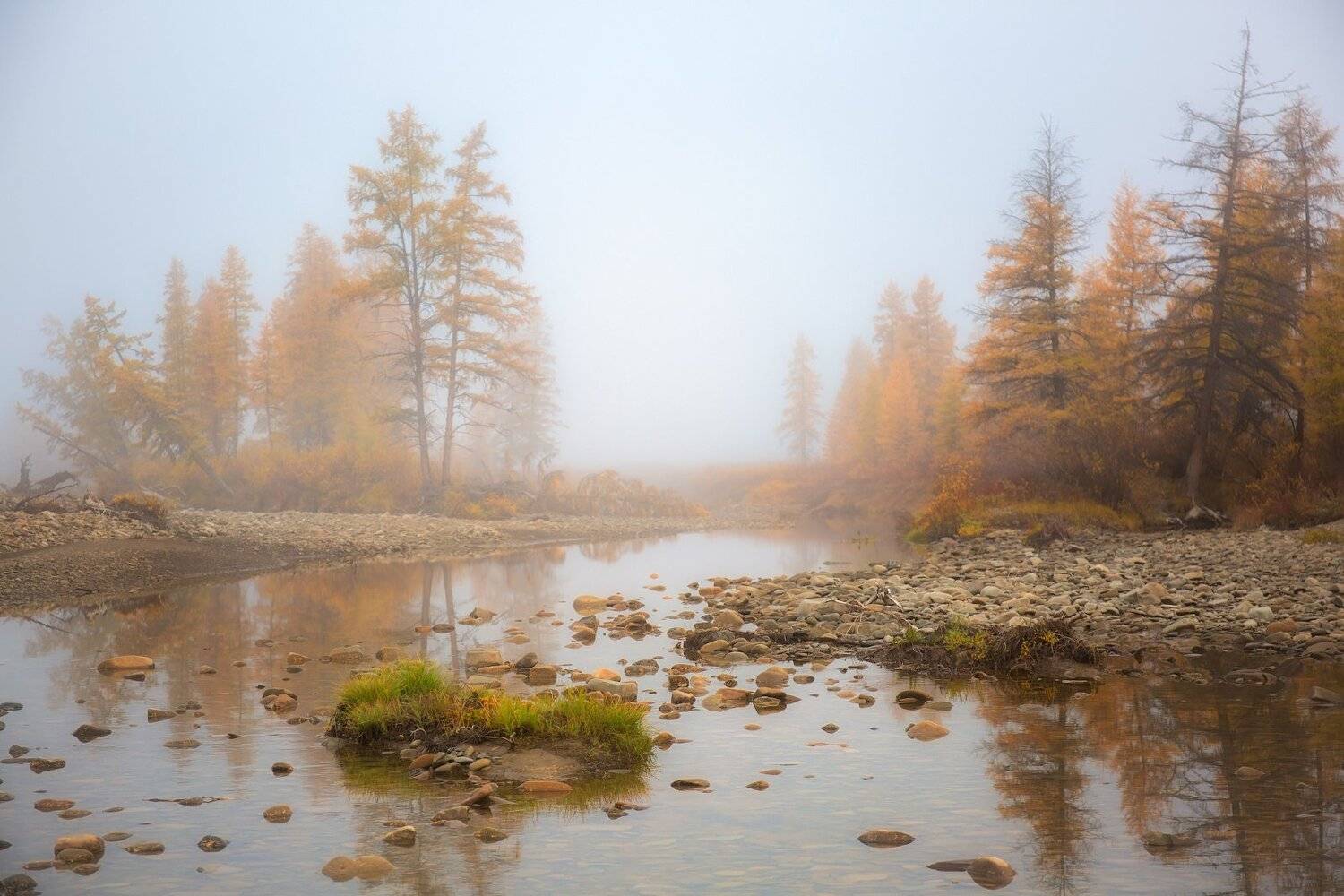 , Павел Глушков