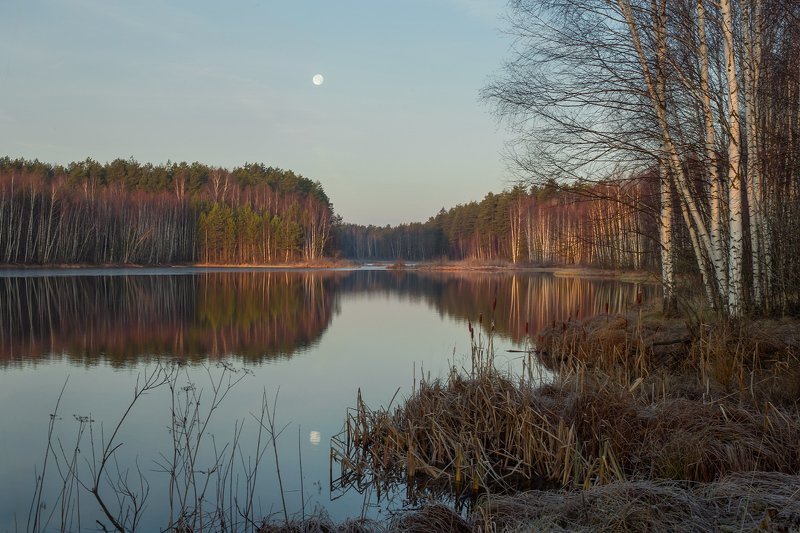 утро луна черная порза Светает фото превью