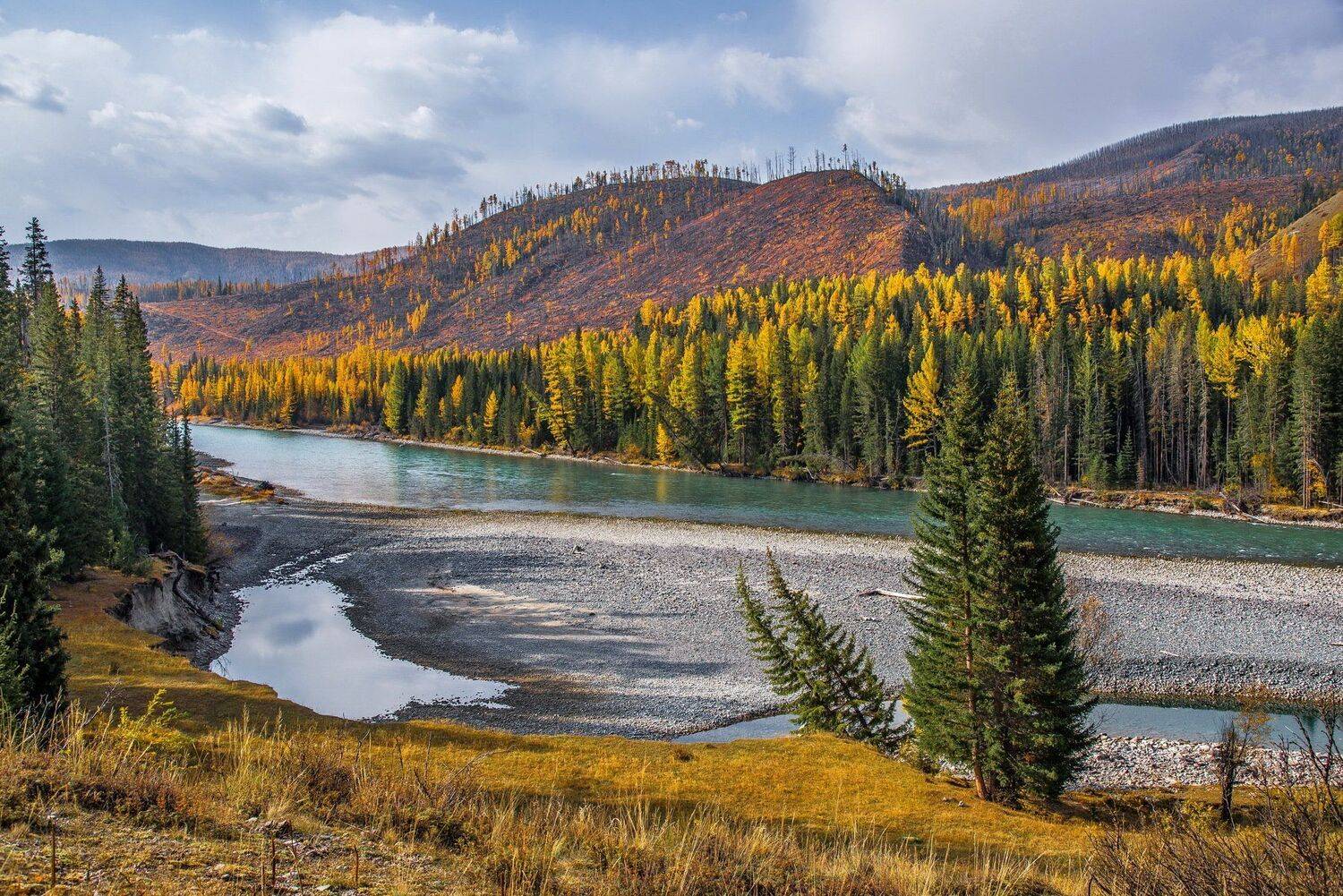 горы. осень аргут. алтай., Евгений Дроботенко