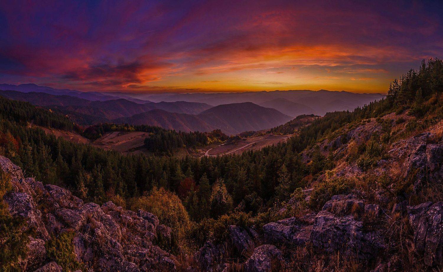 , Николай Кулев