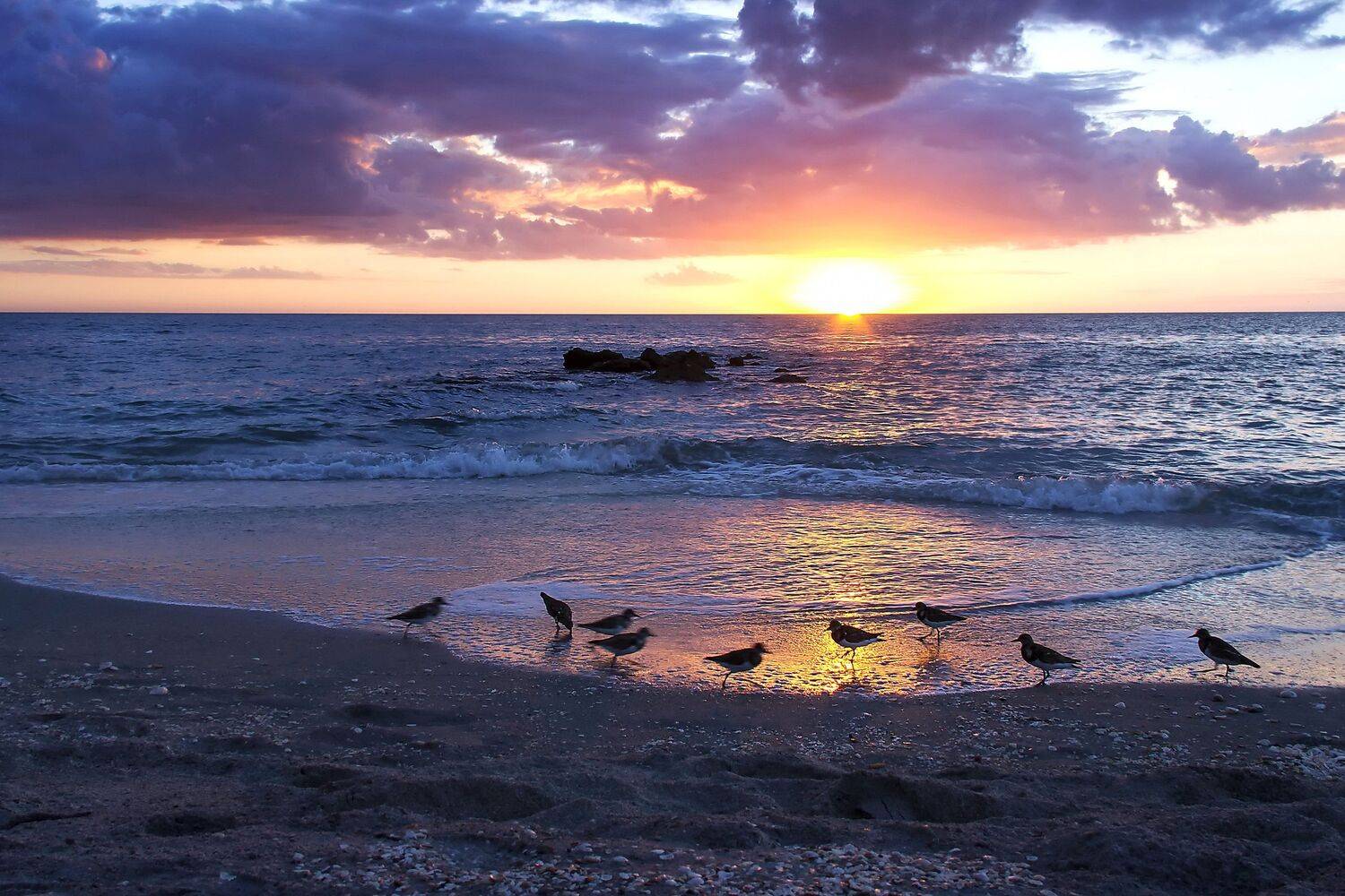 , Razgulyaev Aleksandr