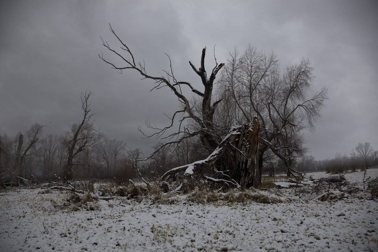 первый снег, Виктор Кириллов