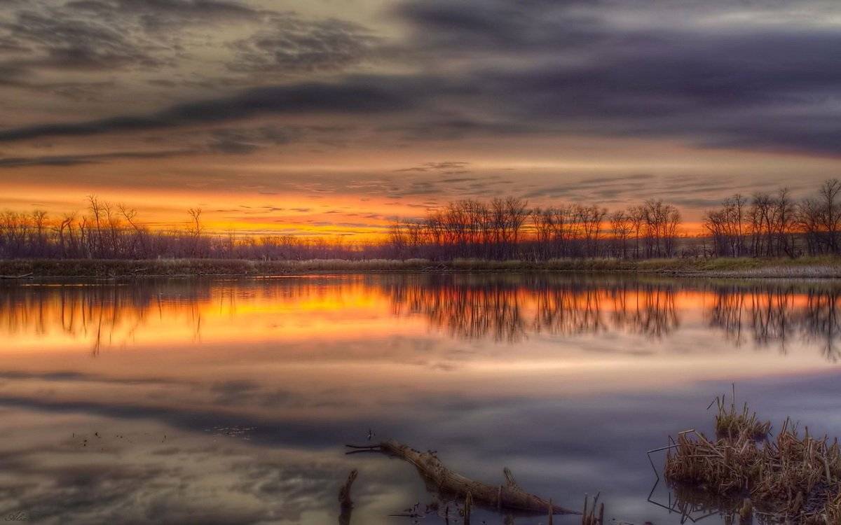 , Razgulyaev Aleksandr