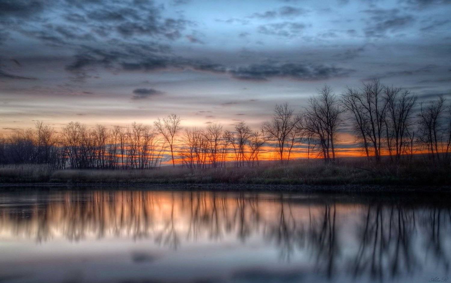 , Razgulyaev Aleksandr