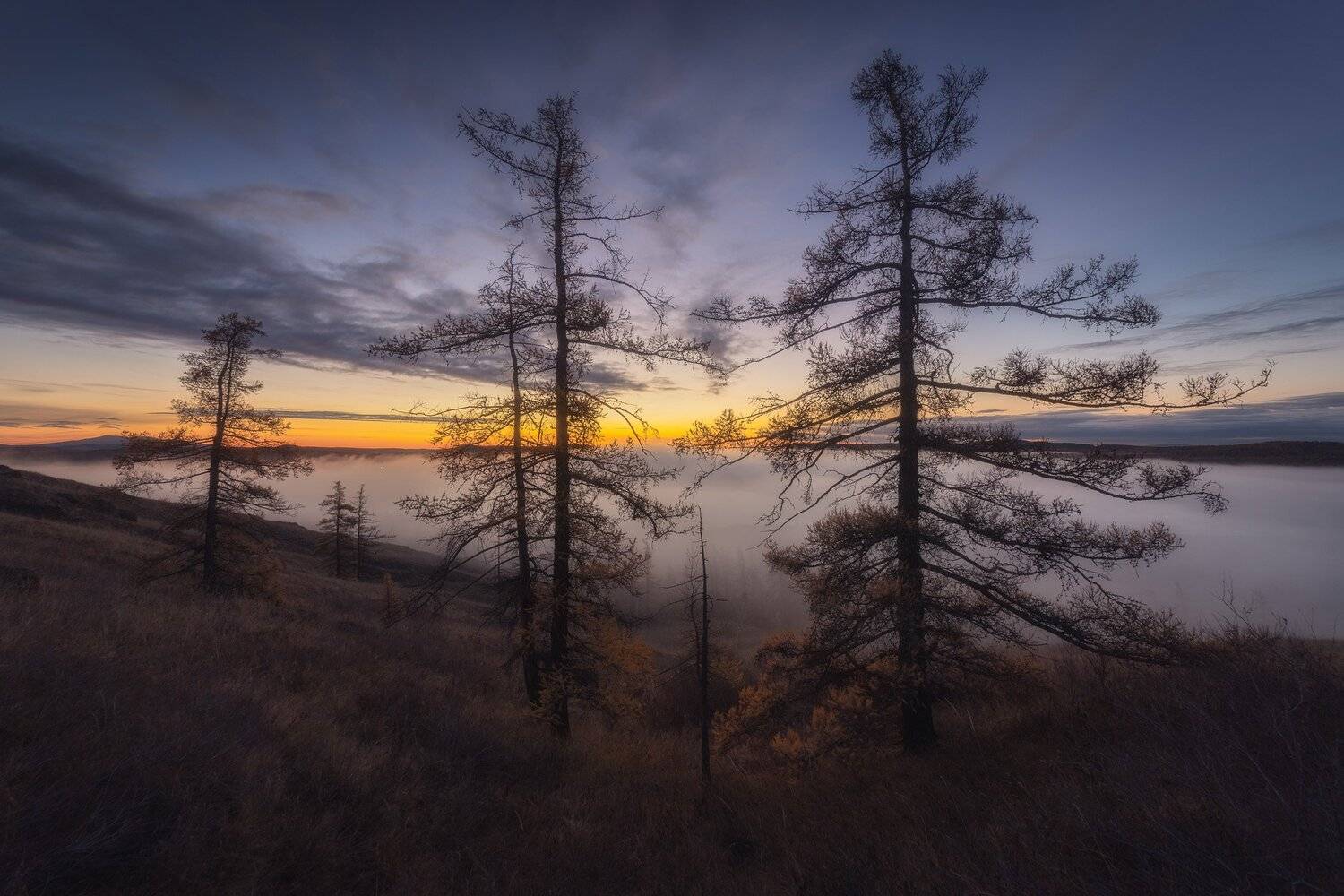 , Михаил Туркеев