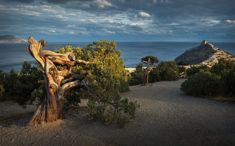 Новый свет фото превью