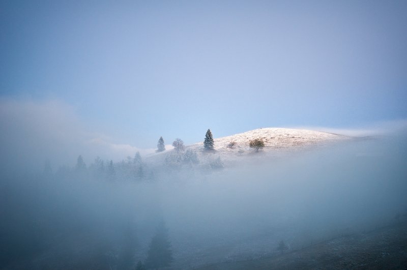 Шелест утренних звёзд фото превью