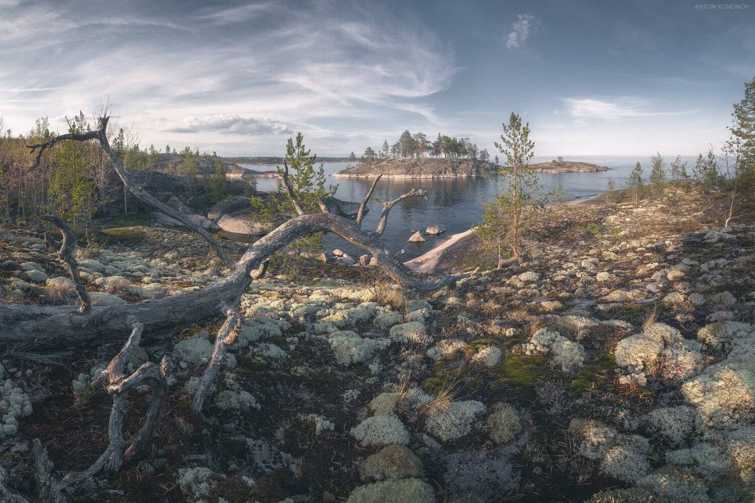 ладога, ладожское, озеро, Антон Кононов