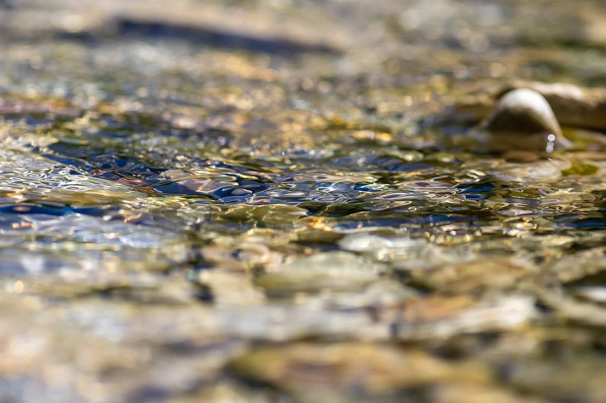 , Александр Земляной