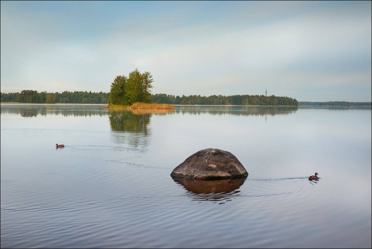 лето, Георгий Сапожников