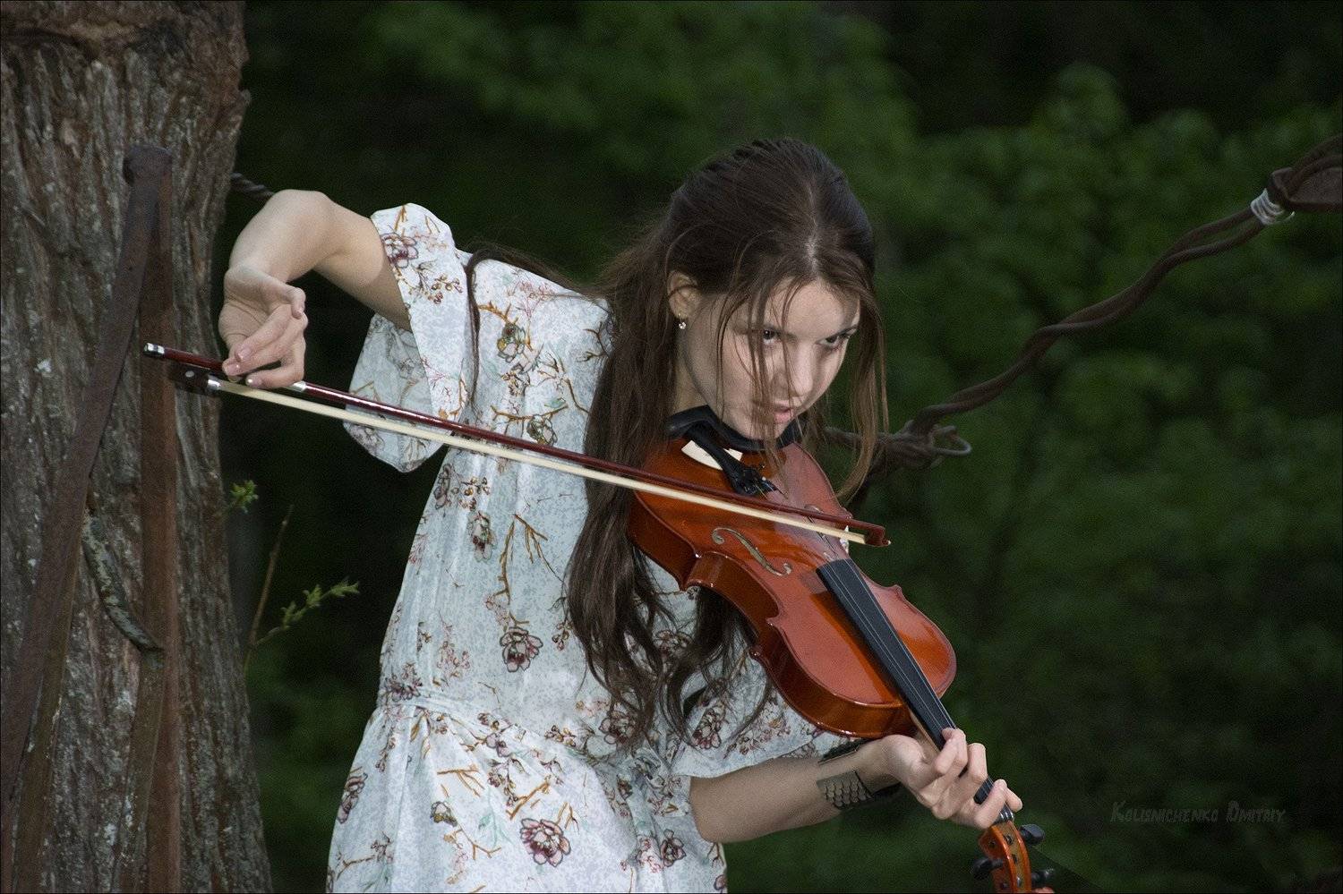  devil`s violinist, скрипач, лес, мост, , Дмитрий Колисниченко