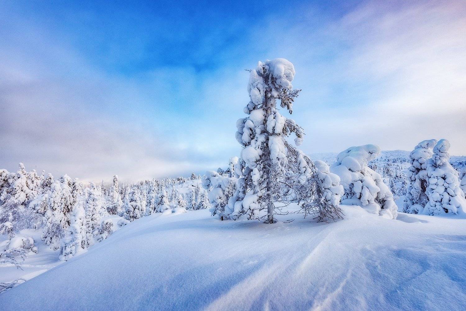 снег, горы, ели, кандалакша, заполярье, волосная, зима, кольский полуостров., Владимир Липецких