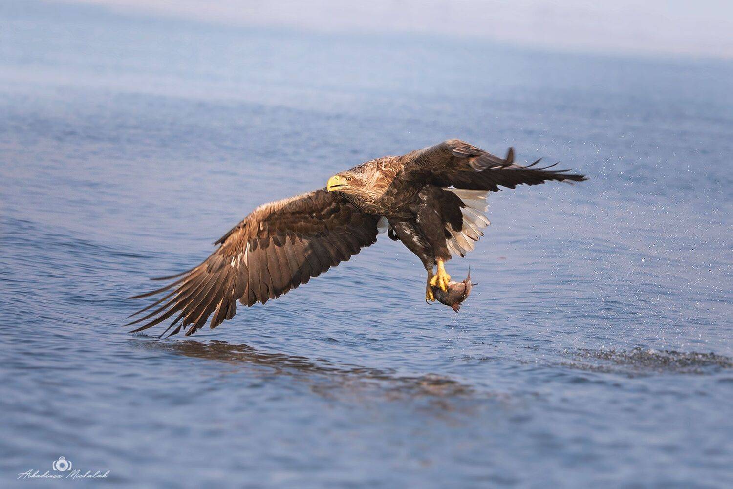 , Arkadiusz Michalak