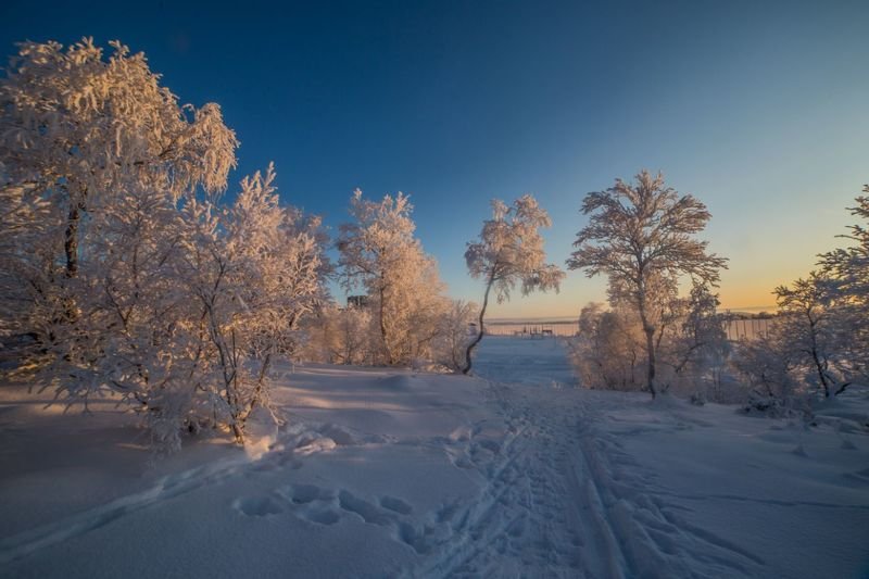 пейзаж, закат, солнце, зима, деревья, солнце, сугробы, снег «Нежные краски заката» фото превью