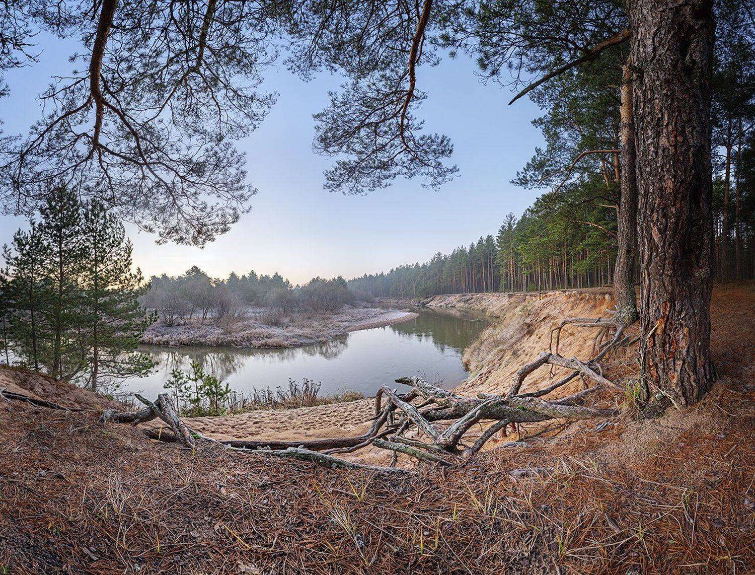 , Николай Андреев