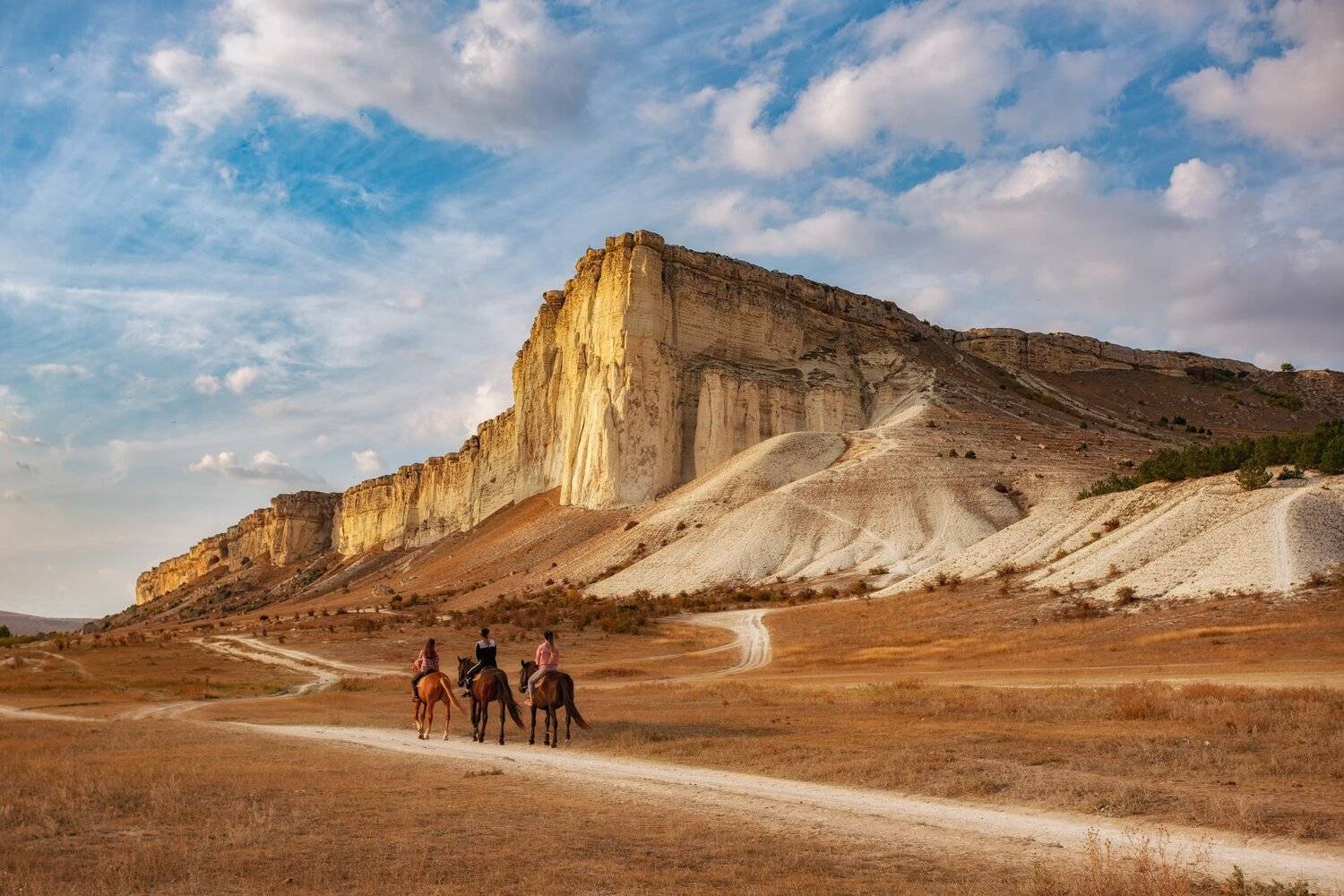 Wild Wild West. Автор: Юлия Шумляева , Юлия Шумляева