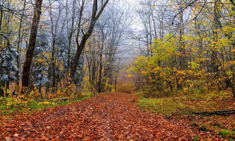 Зима через дорогу фото превью