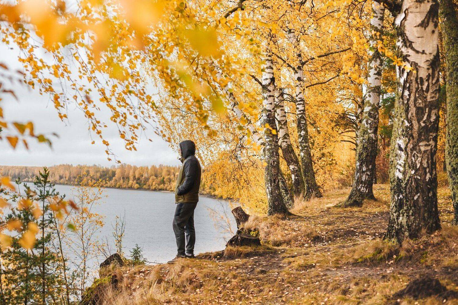 Волга, Элина Хван