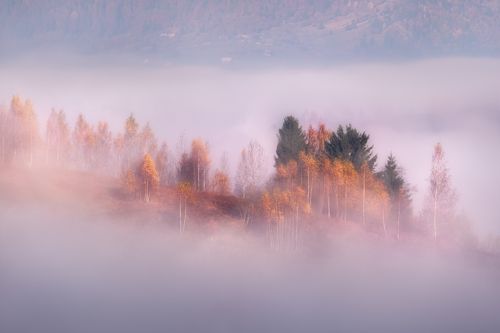 Туманное Adagio