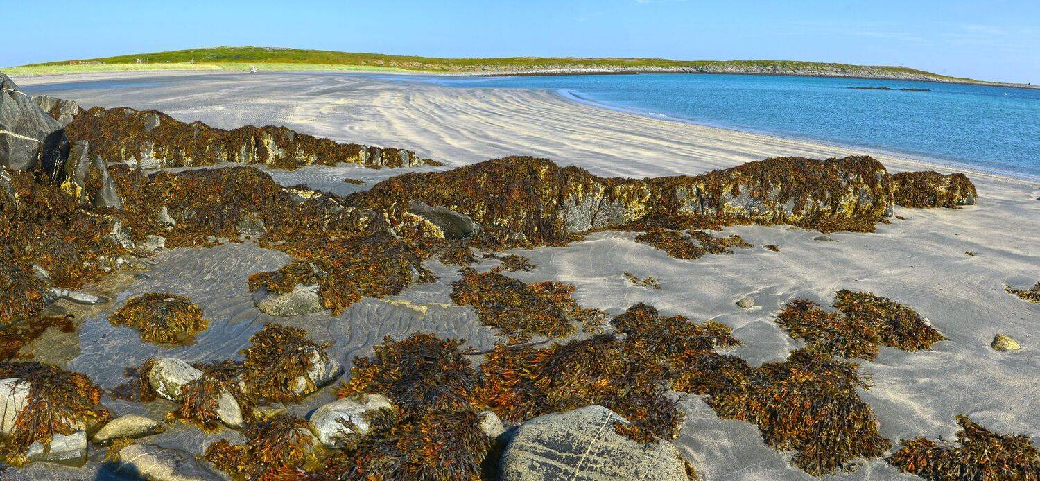 рыбачий, баренцево море, отлив, Сергей Седов