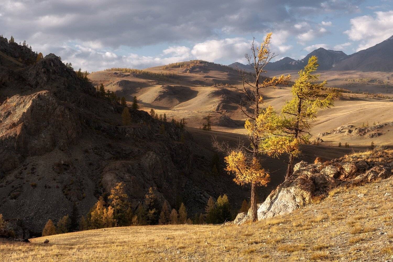 алтай, северо-чуйский хребет, вечер, осень., Марина Фомина