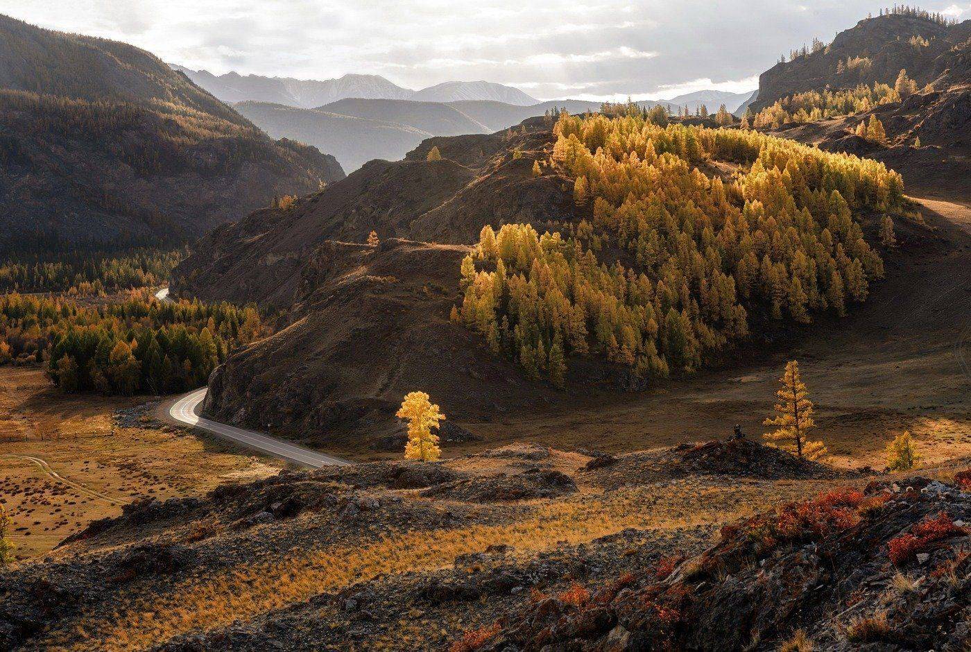 алтай,курай., Марина Фомина