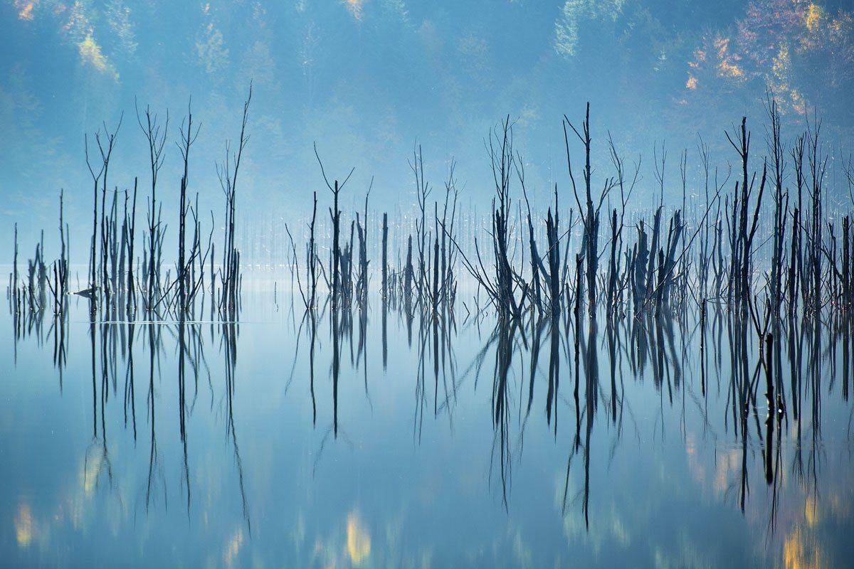 , Stefan Chirobocea