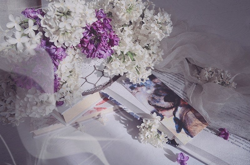 Весна сирень книга натюрморт радость любовь  Так хорошо...  фото превью