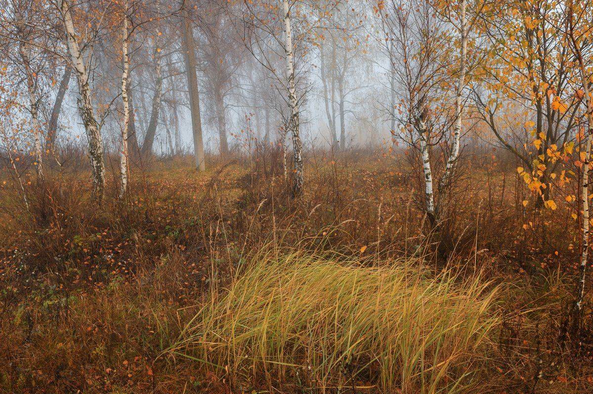 пейзаж,природа,россия,осень, Юлия Лаптева