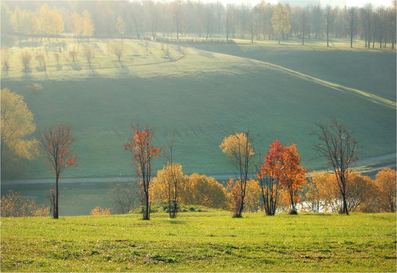Осень золотая фото превью