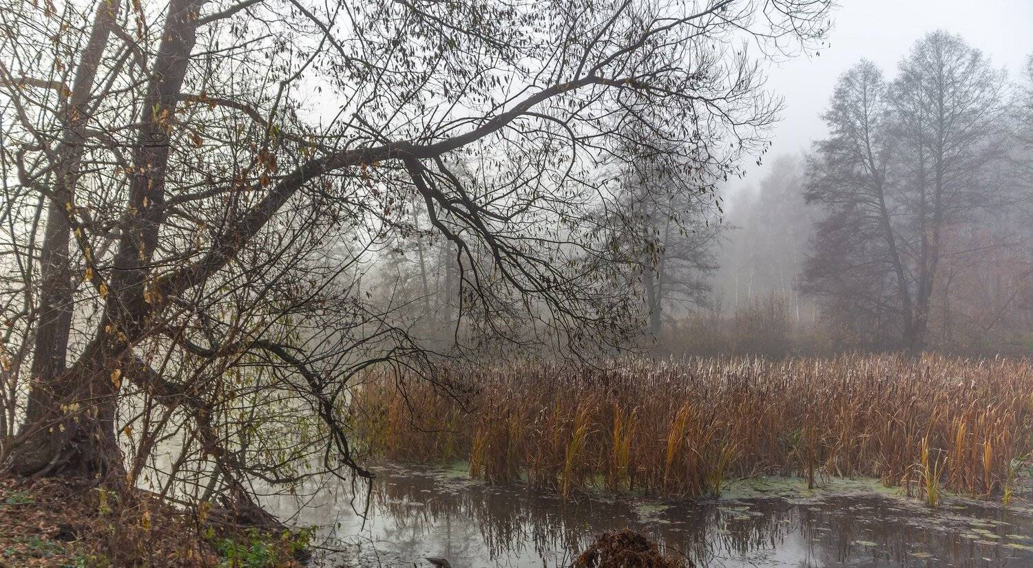 осень, туман, вода, Руслан Востриков