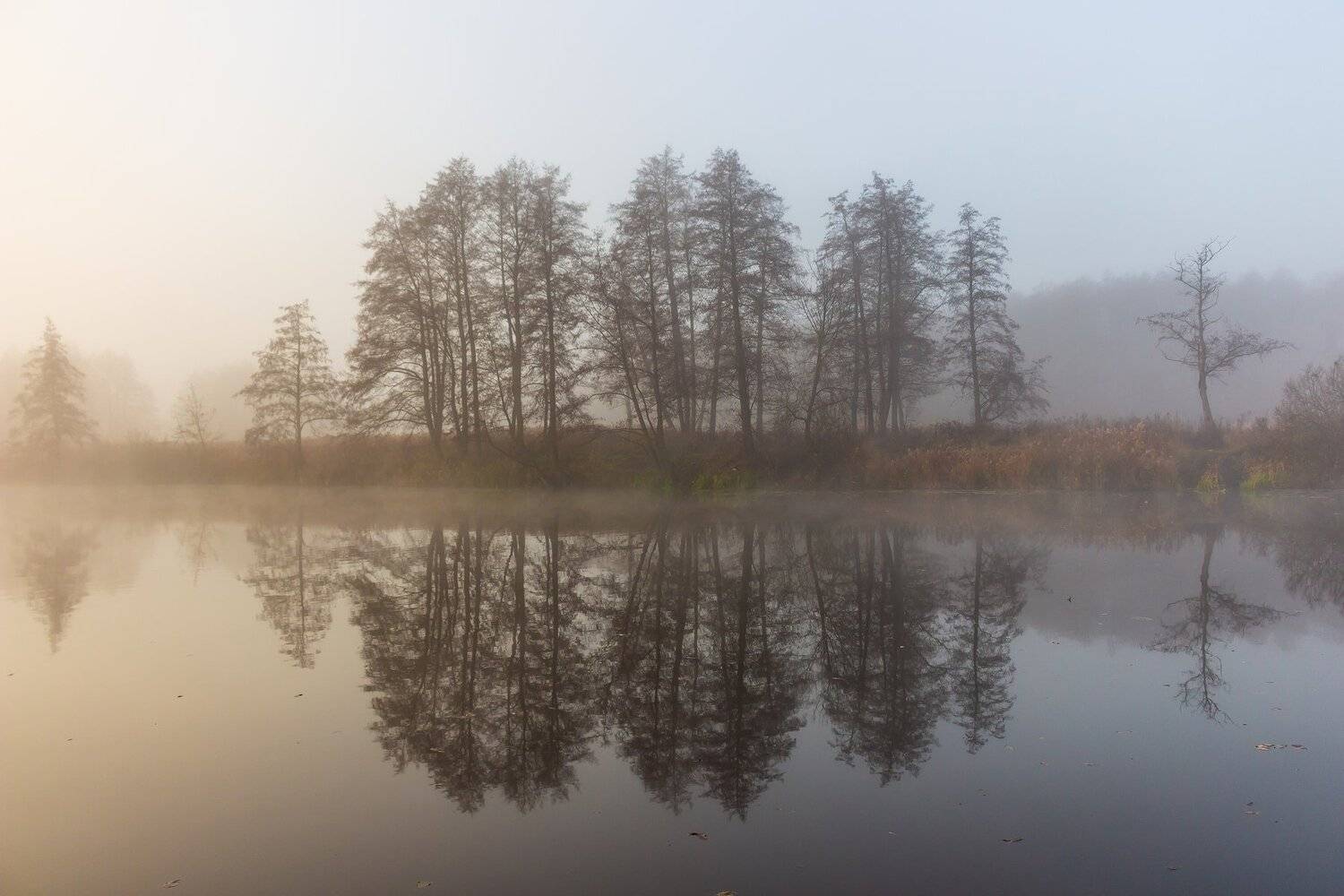 осень, туман, вода, Руслан Востриков