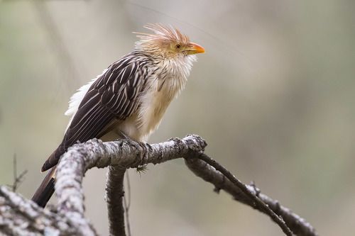 Нас бомбили, я спаслась