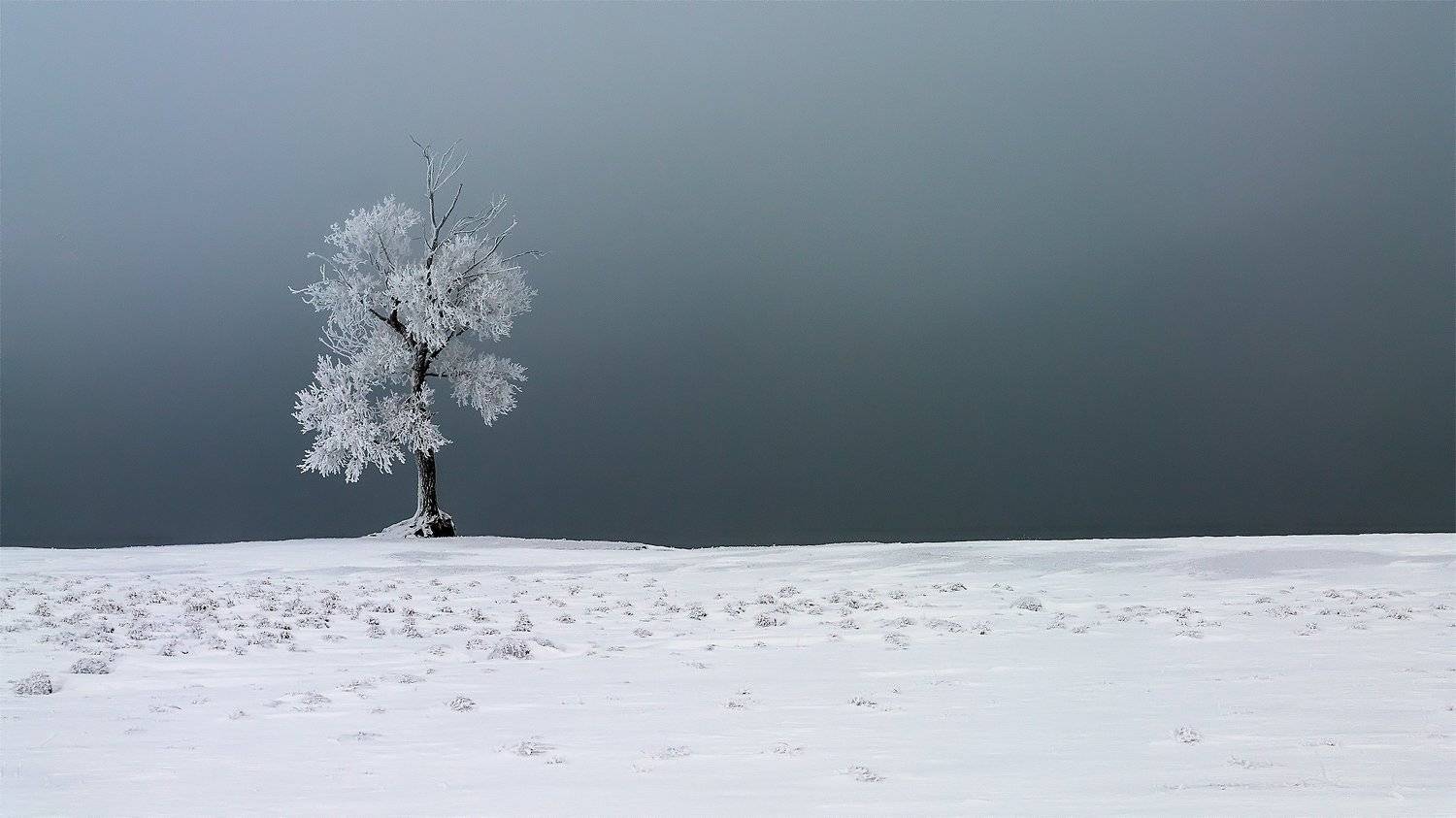 , Леонид Максименко