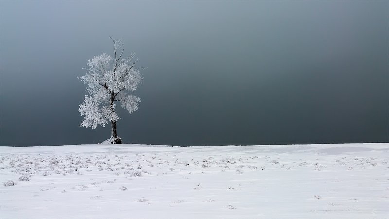 Осень! Такая осень... фото превью