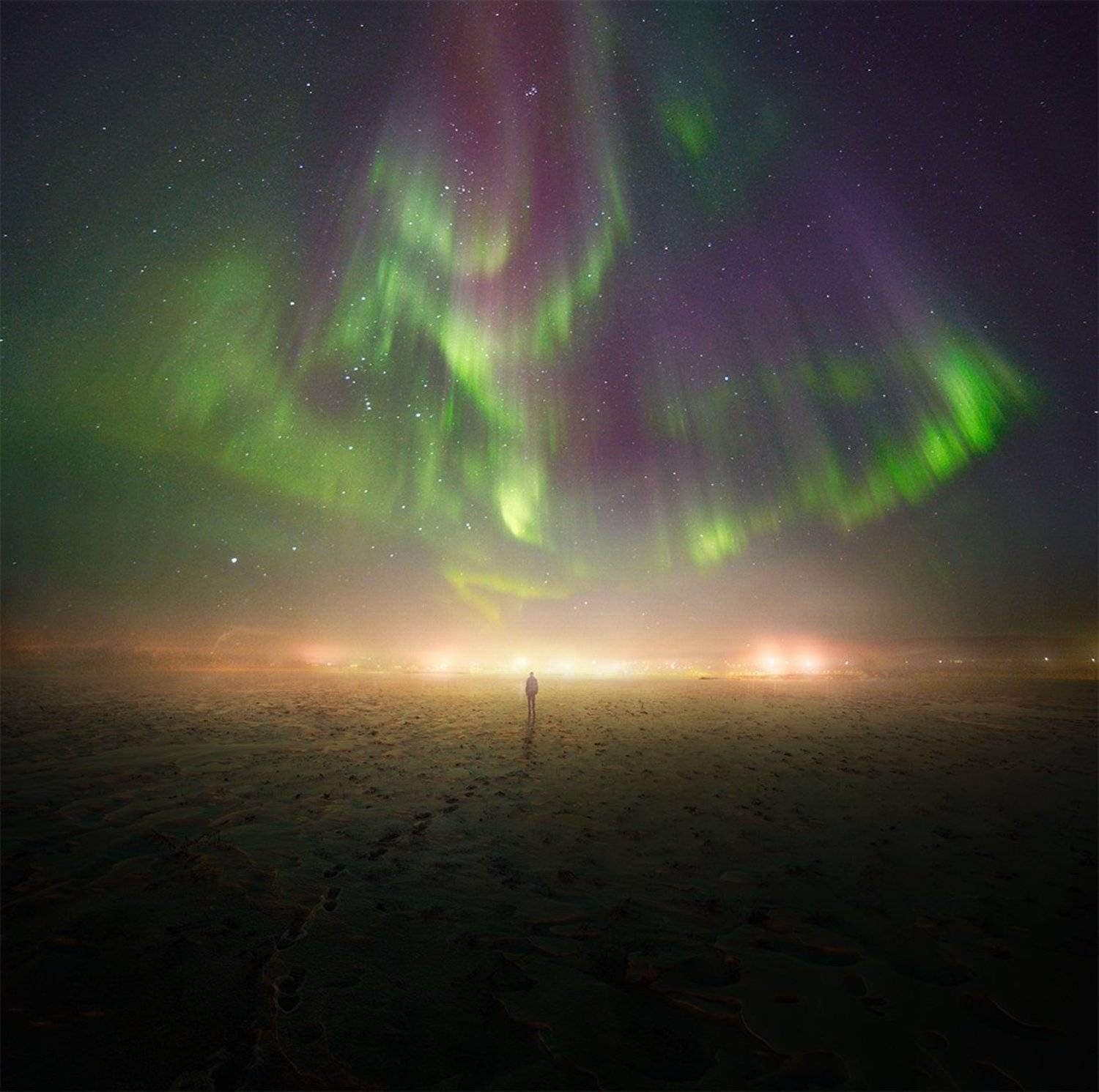 , Дeнис Бoдрoв