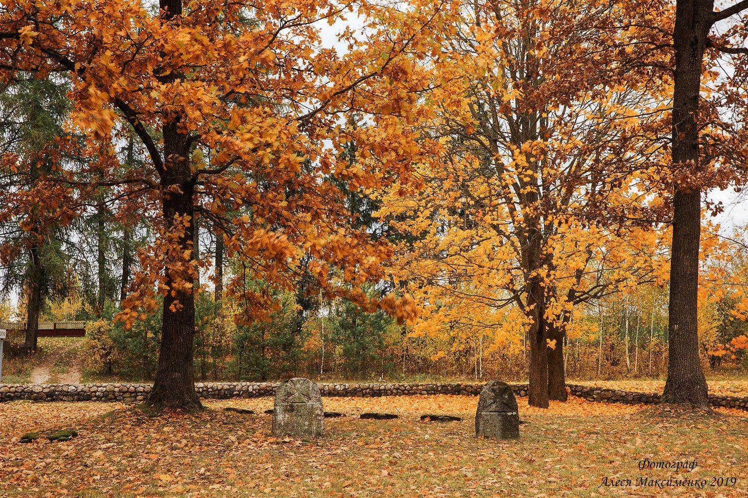 , Алеся Максименко