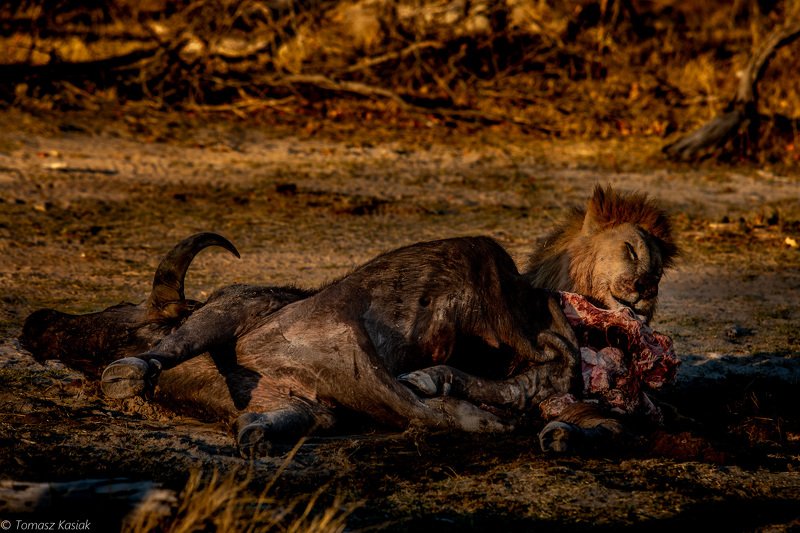 Breakfast фото превью