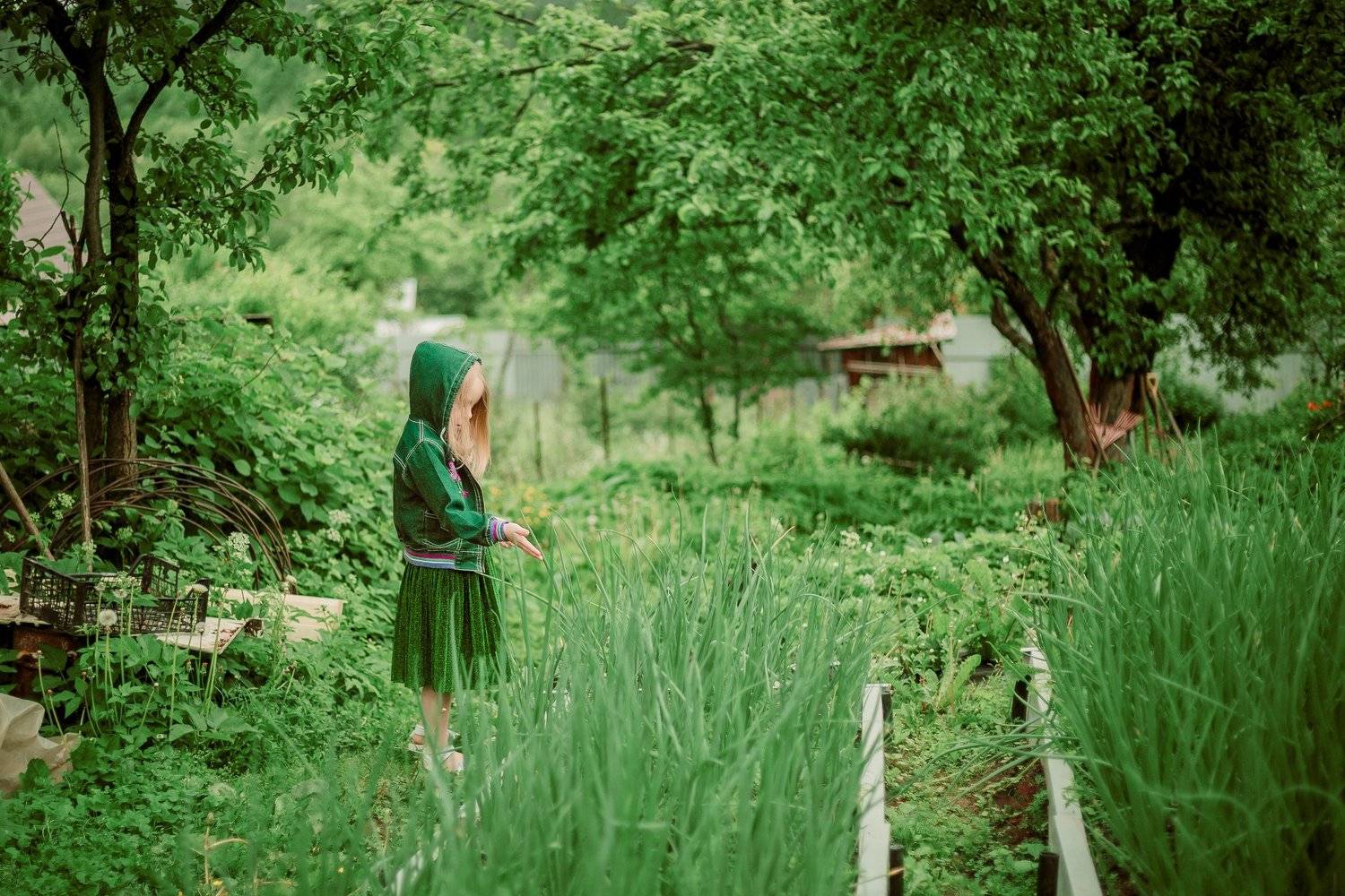 , Илона Дунаева