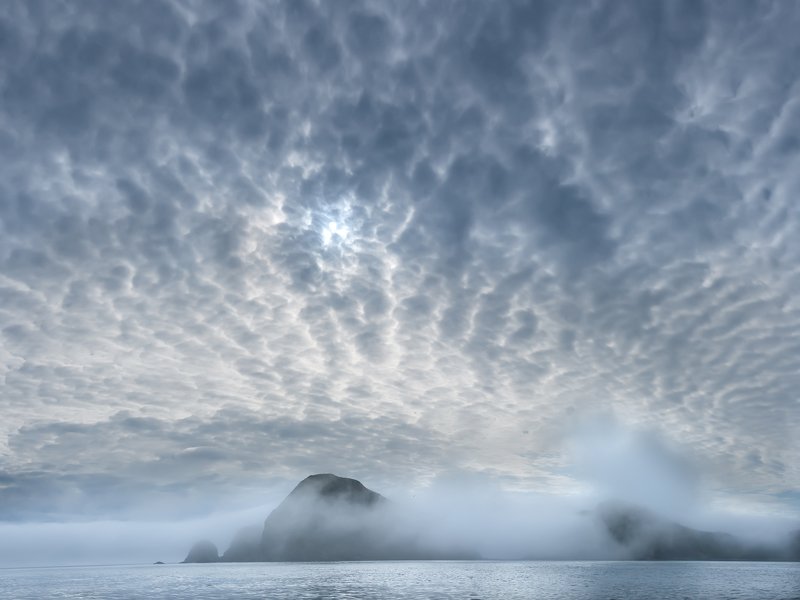 #пейзаж #путешествия #туман #камчатка #непогода Туманные берега. фото превью