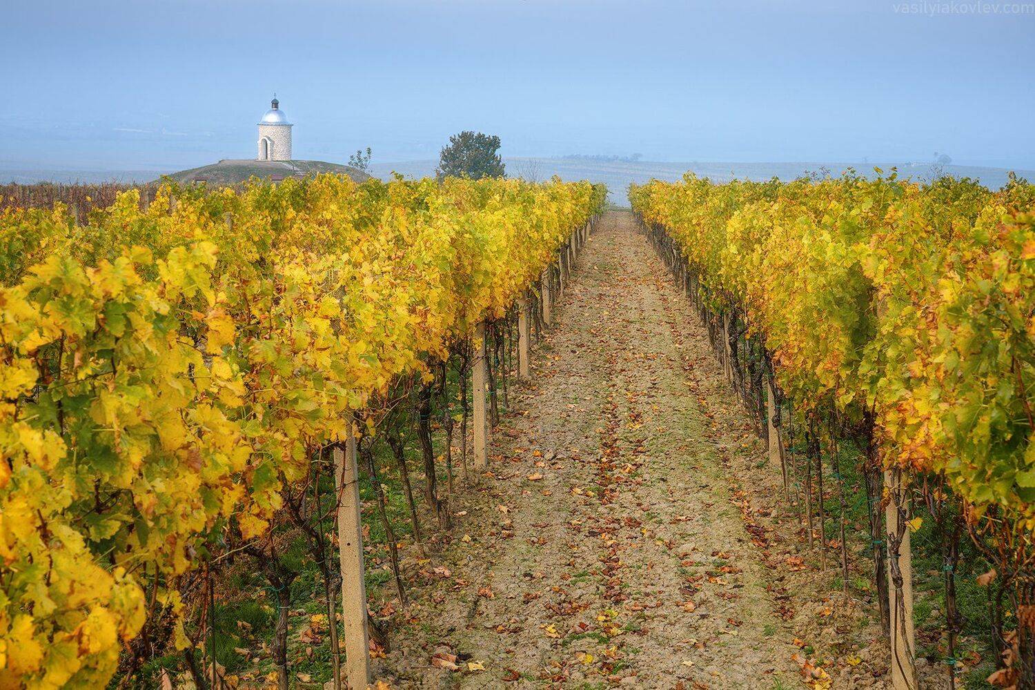 моравия, чехия, осень, Василий Яковлев