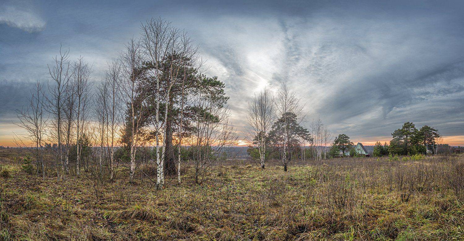 , Николай Андреев