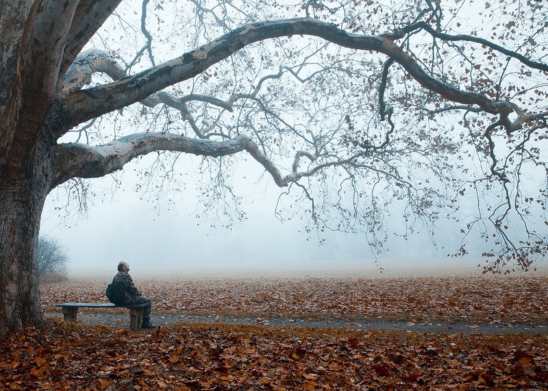 Autumn фото превью