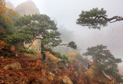 Осень в горах..