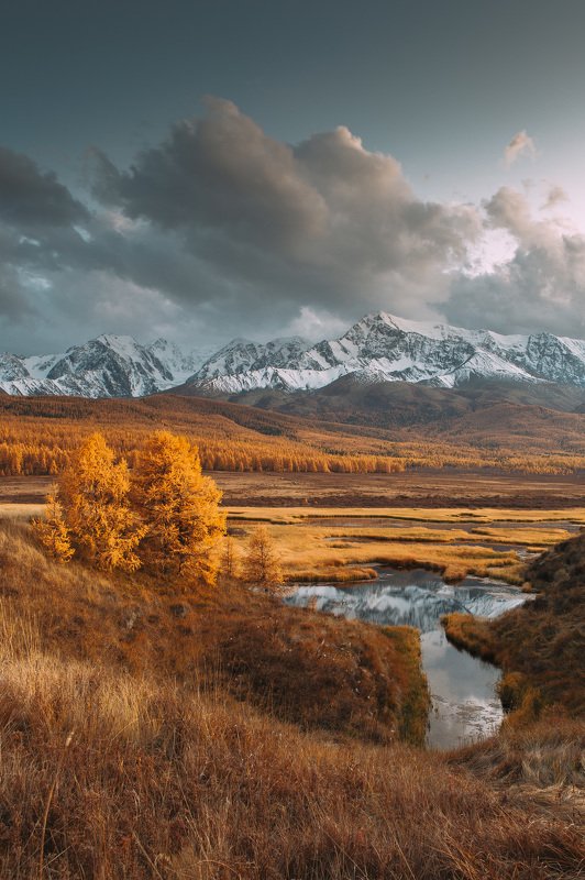 пейзаж, алтай, горы, небо, осень Вечерний Алтай фото превью