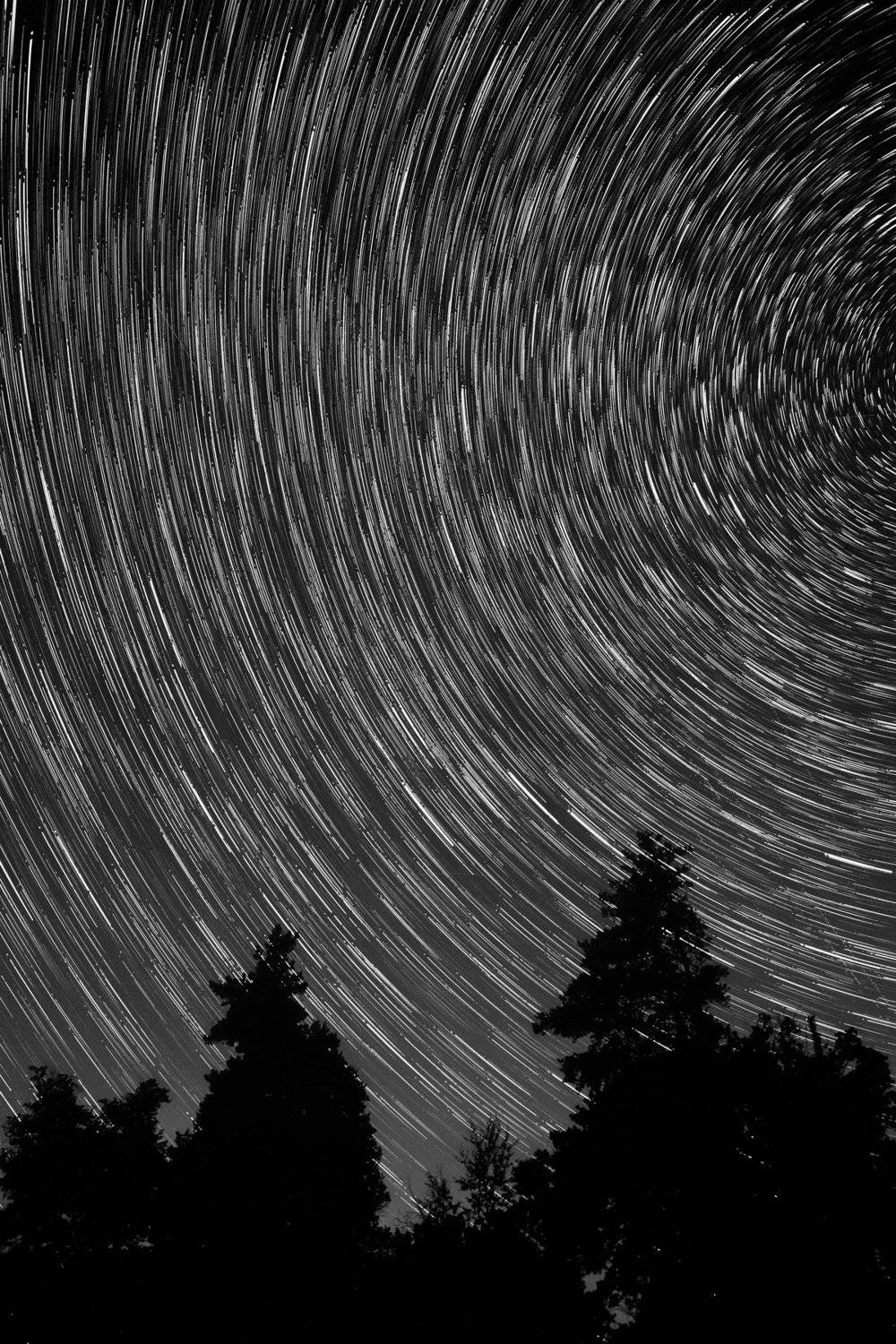 , Роман Рыжков