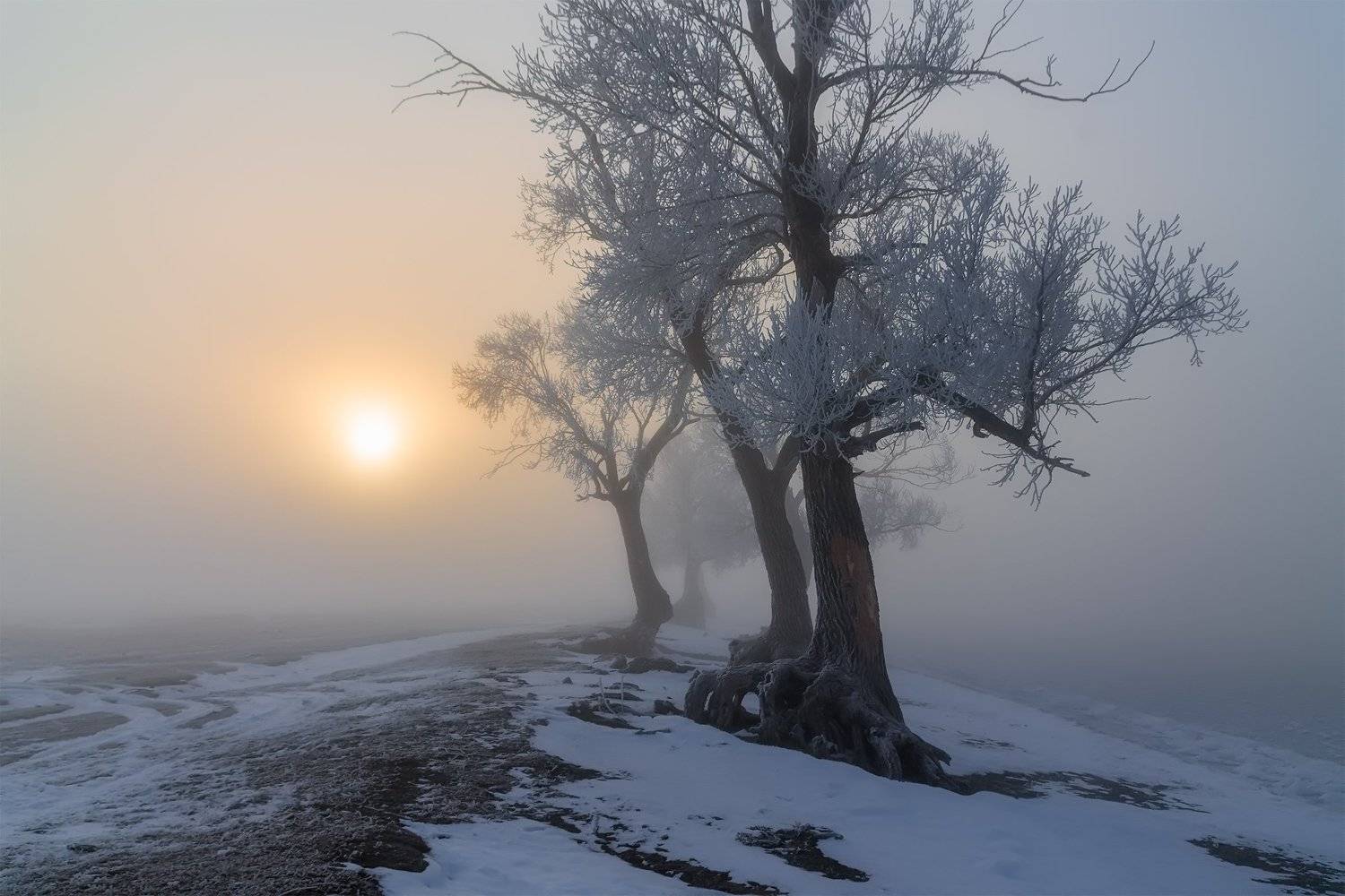 утро, рассвет, восход, туман, лучи, Леонид Максименко