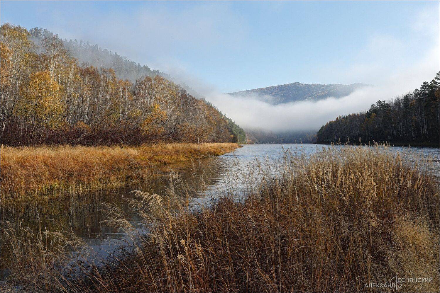 забайкальский край, Александр Леснянский