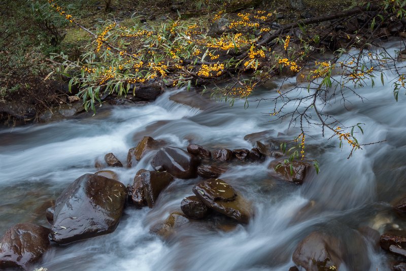 The stream of autumn фото превью