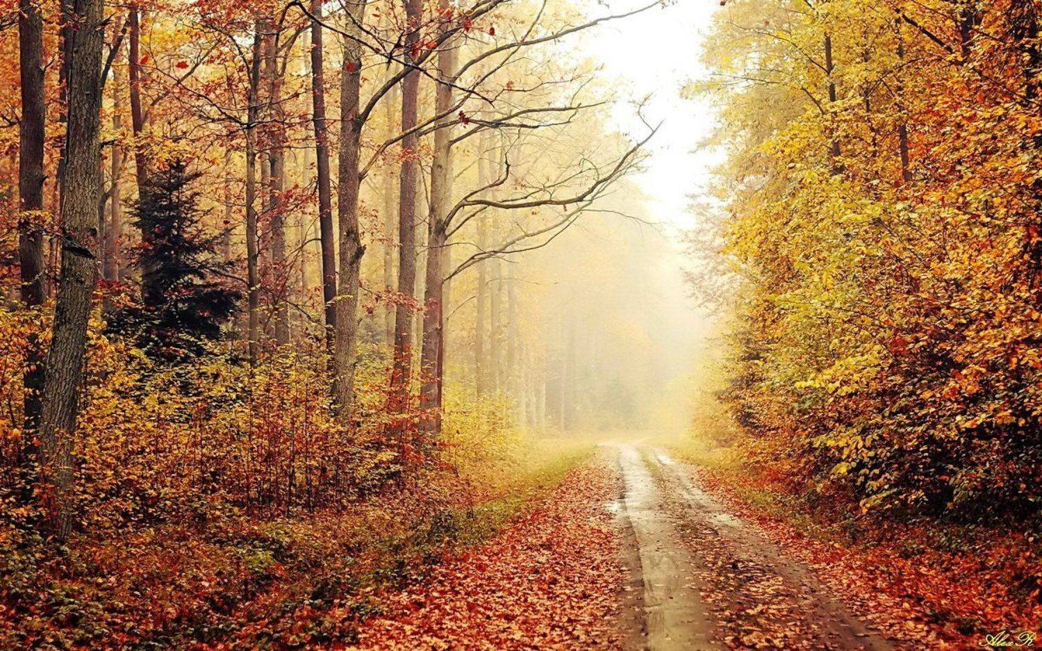 , Razgulyaev Aleksandr